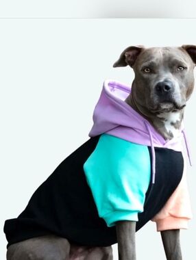 Spark Paws Color Block Pet Hoodie 4XL